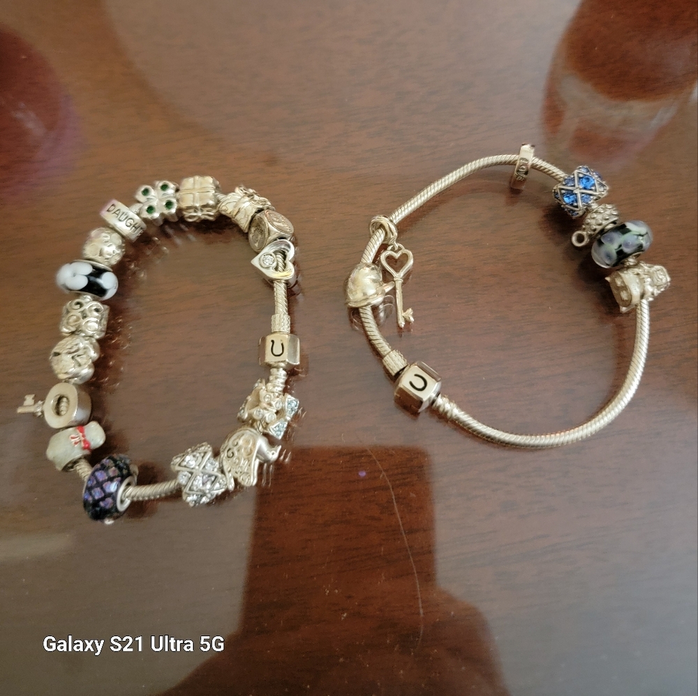 Camillia / pandora charm bracelets 2